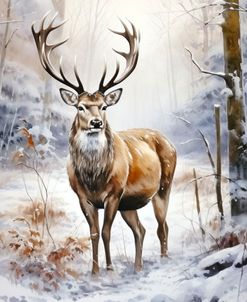 Stag 5