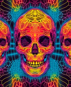 Psychedelic Skulls