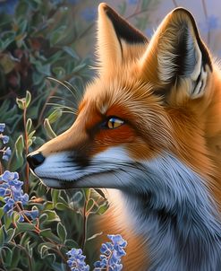 Foxy in Lavender