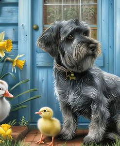 Schnauzer And Friends