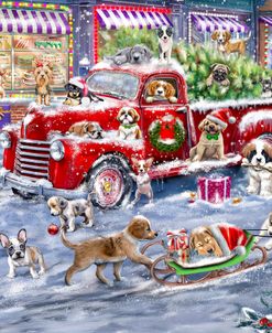 Christmas Puppies