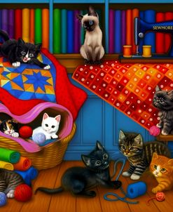 Kitten Helpers