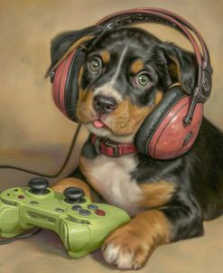 Gaming Fun