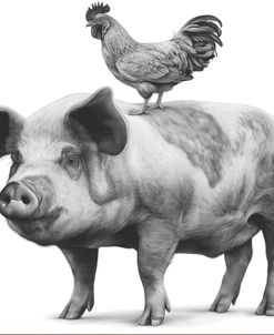 Pig And Chicken