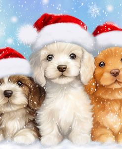 Puppies Christmas