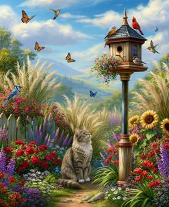 Bird Watching