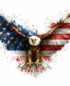 America The Beautiful