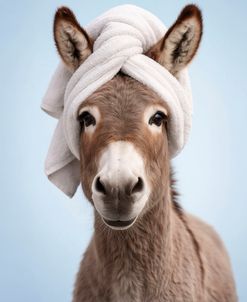 Donkey Wrap