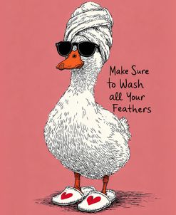 Wash Your Feathers