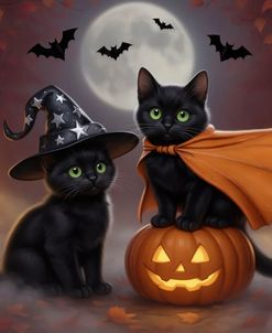 Black Cat Misty Night