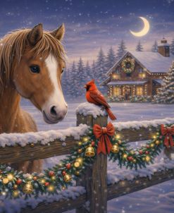 Winter Visitor