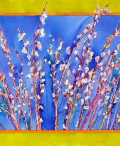 Pussy Willows