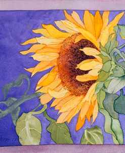 Sunflower I