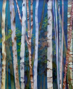 Mystery Of Trees-Birches