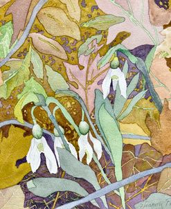 First Snowdrops