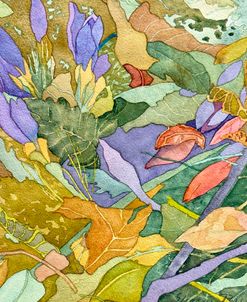 Spring Crocus
