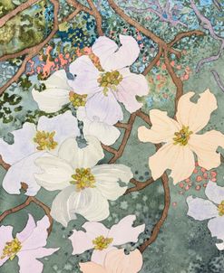 Dogwoods Ii