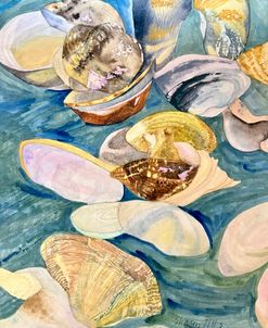 Shells