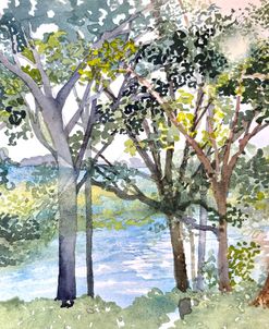 Vista In Spring
