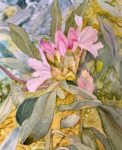 Blossoming Rhododendron