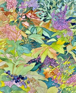 Autumn Hydrangeas