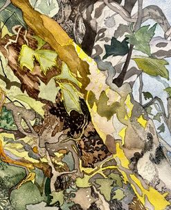 Inspiration of Wyeth