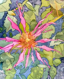 Scarlet Beebalm in Autumn