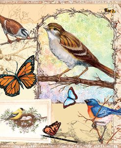 Birds, Butterflys, Bees-Pastels