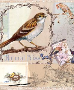 Natural Bliss Birds-Tan-Blue