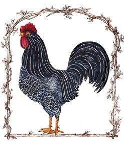 Rooster Dominicblk-Twig Border-Brn