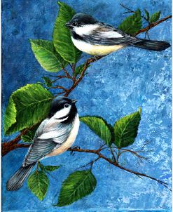 Chickadees