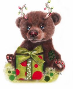 Bruno Bear, Rudolph Fan