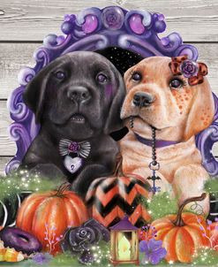 Sweet Halloween Couple Puppies