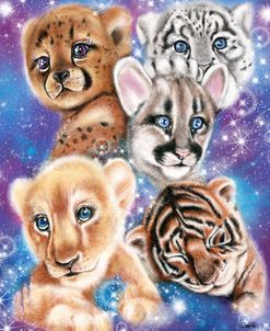Galaxy Wild Kitten Cubs