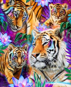 Day Dream Tigers