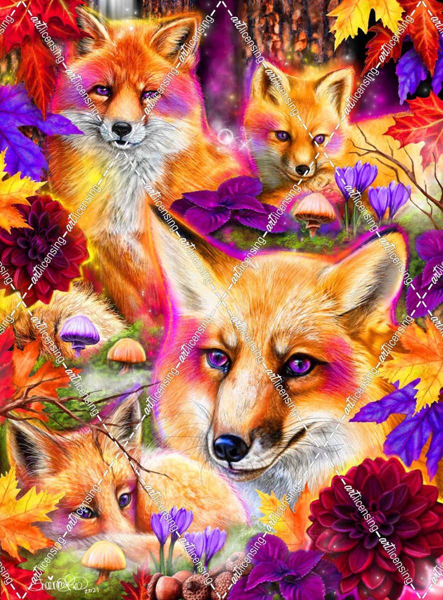 Day Dream Red Fox