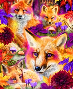 Day Dream Red Fox