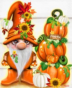 Pumpkins for Sale Lil Gnomez