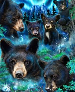 Daydream Moonlit Black Bears