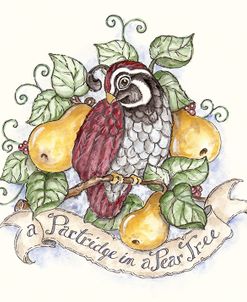 A Partridge In A Pear Tree