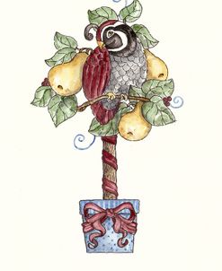 Partridge Stocking