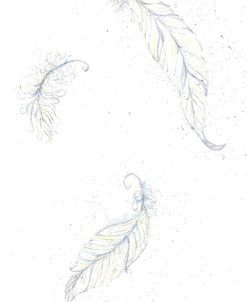 Feathers