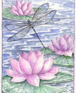 Dragonfly