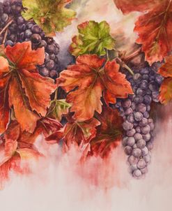 Luminous Nature Autumn Vineyard