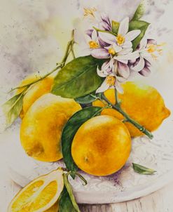 Luminous Nature Sunlit Zest