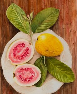 Luminous Nature Tropical Blush