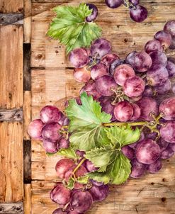 Luminous Nature Vineyard Light 1