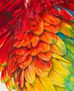 Tropical Majesty Chromatic Pulse