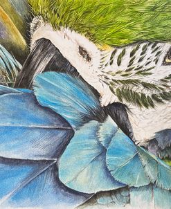 Tropical Majesty Inner Majesty 3