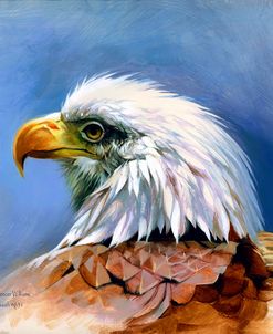 Eagle Portrait